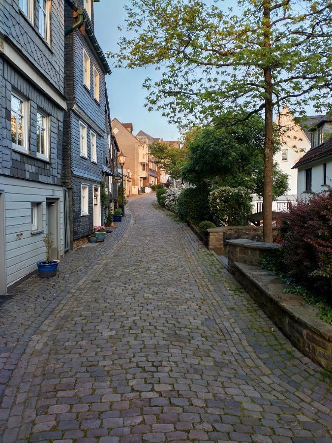 Villa Rubens Haus Siegen Esterno foto